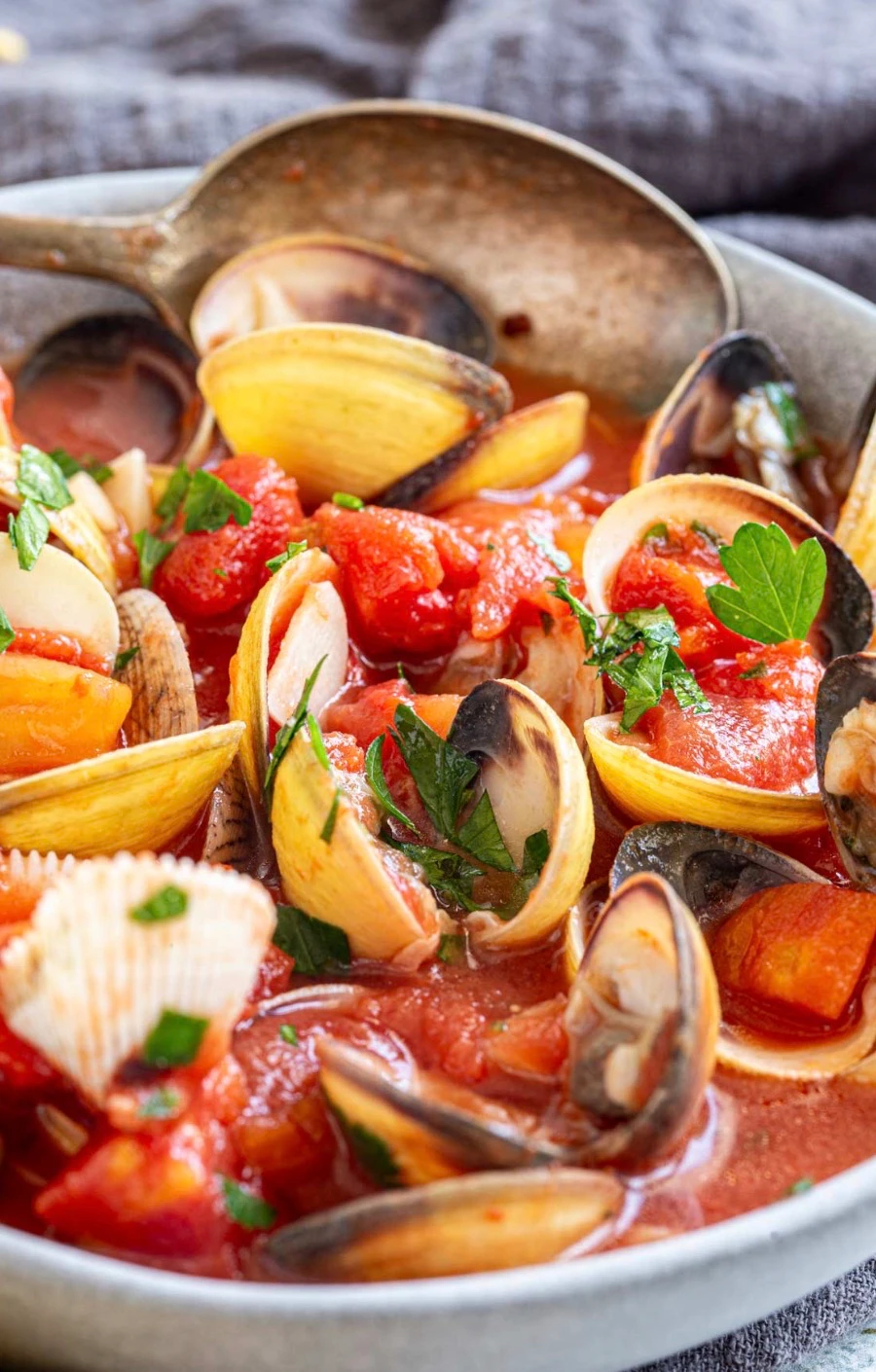Clams in tomato sauce with fresh herbs